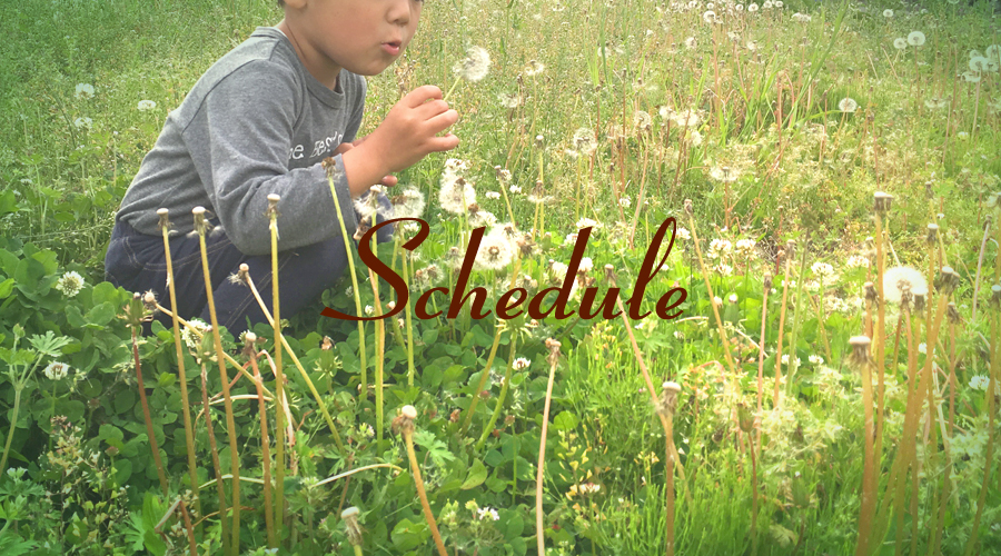 美術教室ぷっち・こっぷ スケジュール